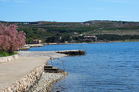 Rovanjska - The shore on the Adriatic Sea